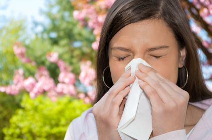 Are You One Of The Many Millions That Suffers With Hay Fever?